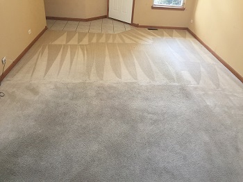 carpet-cleaning-half-complete
